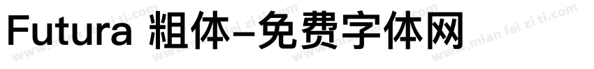 Futura 粗体字体转换
